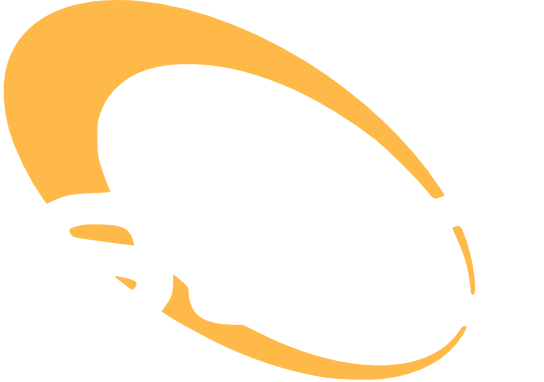 STRIC logo